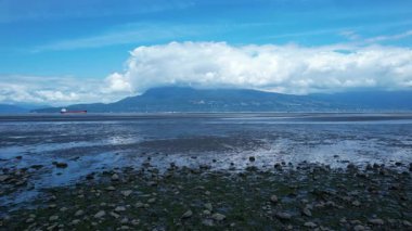Vancouver, British Columbia, Kanada 'daki plaj ve okyanus videoları.