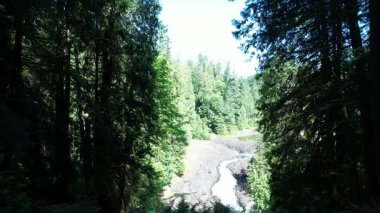 Vancouver Adası, Britanya Kolumbiyası, Kanada