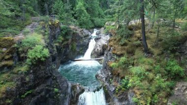 Vancouver Adası, Britanya Kolumbiyası, Kanada