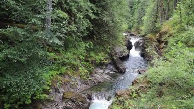 Vancouver Adası, Britanya Kolumbiyası, Kanada
