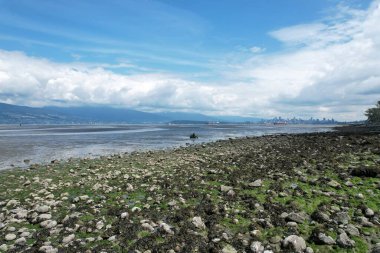 6-28-2025: Vancouver, British, Columbia: Vancouver, Kanada 'daki plajların havadan çekilmiş fotoğrafı