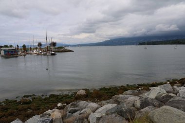Vancouver, British Columbia, Kanada: 6-27-205: Teatoler Beach ve Hadden Beach, Vancouver Canada