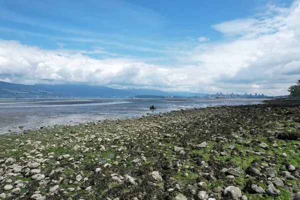 6-28-2025: Vancouver, British, Columbia: Vancouver, Kanada 'daki plajların havadan çekilmiş fotoğrafı