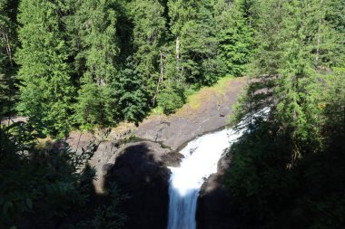 Fotoğraf: Little Qualicom Falls, Vancouver Adası, Kanada