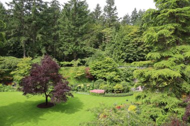 7-5-2025: Victoria, British Columbia, Kanada: Buchart Gardens