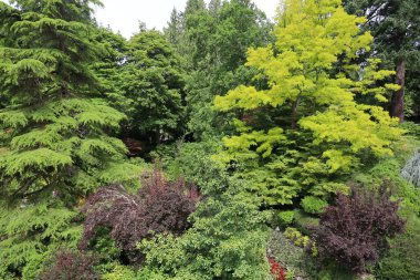 7-5-2025: Victoria, British Columbia, Kanada: Buchart Gardens