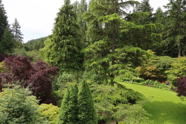 7-5-2025: Victoria, British Columbia, Kanada: Buchart Gardens