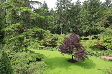 7-5-2025: Victoria, British Columbia, Kanada: Buchart Gardens