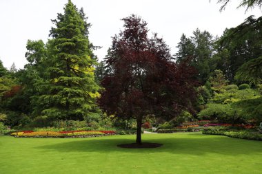 7-5-2025: Victoria, British Columbia, Kanada: Buchart Gardens