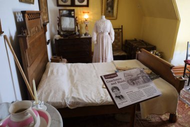 7-6-2025 Victoria, İngiliz Kolombiyası. Kanada: Victoria, British Columbia, Kanada 'daki Craigdarroch kalesi