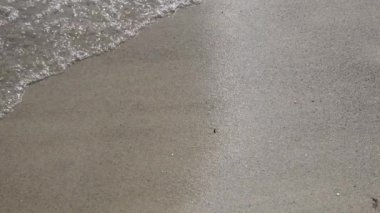 Sahil kumu ve temiz deniz suyu sahile vuruyor. Temiz ıslak kumlu kıyı manzarası. Fotokopi uzayı ile seyahat edin. Deniz kıyısındaki suda parlak güneş ışığı