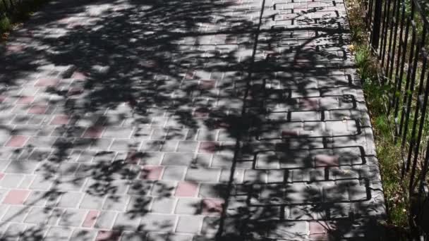 Footpath Paved Grey Red Paving Slabs Street Covered Shadow Pattern — 图库视频影像