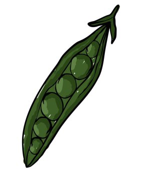 Tohumlu Yeşil Bezelyeler El Tarzı Vektör Resimlerinde.