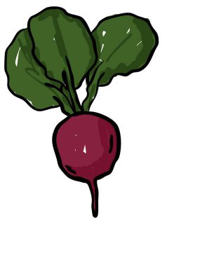 Yapraklar Oyuncu Elle Çizilmiş Biçim Vektörü İllüstrasyonlu Turp.