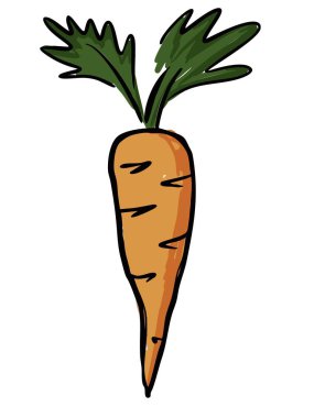 Yeşil Toplar Vektör İllüstrasyonlu Klasik El Çizimi Havuç.