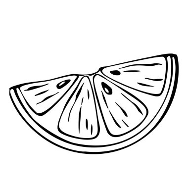El yapımı limon dilimlenmiş siyah ve beyaz çizimi. Sulu Tropikal Organik Meyve Citrus