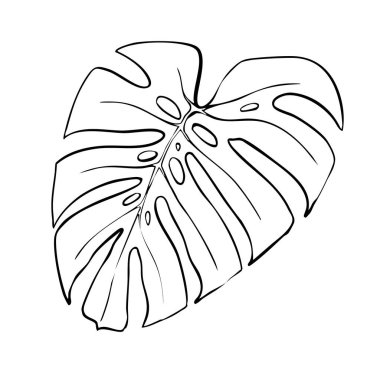 Palmiye yaprağı çizgisi tropikal egzotik palmiye yaprağı ve muz yaprağı bırakır. Botanik bitkisi tropik el çizimi çizimi.