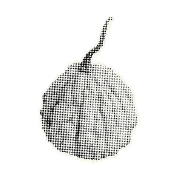 Sonbahar Cadılar Bayramı balkabağı. Moda Yarım Tonlama Kolajı. Noktalama etkisi altında sonbahar balkabağı. Balkabağı Cadılar Bayramı ve Şükran Günü Kolaj, posterler, tasarım