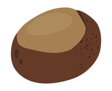 Ohio Buceye Hestnut Organik Orman Sonbahar Tıbbi Tesisi. El çizimi botanik vektör çizimi.