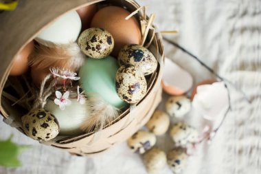 Bıldırcın yumurtaları, boyalı ve kırık tavuk yumurtaları hasır bir sepetin içinde.