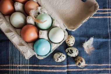 Karton bir kutuya boyanmış tavuk yumurtaları ve üzerinde tavuk tüyü ve yanında bıldırcın yumurtası.