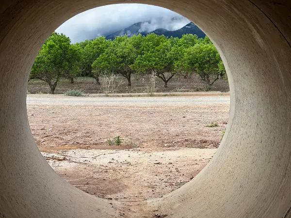 Campo de naranjos fotografiado desde el interior de un tubo de hormign.