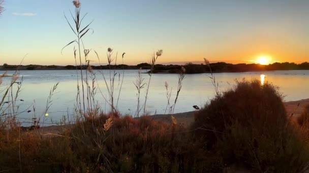 Sereno Atardecer Sobre Tranquilo Lago Visto Través Una Valla Madera — Vídeo de stock