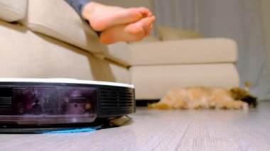 Robot elektrikli süpürge, ev hanımlarına ev işlerinde yardım ediyor. Kadın ve köpek evdeki oturma odasında dinleniyor.