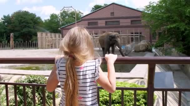 Juniour的女学生在阳光灿烂的夏日参观动物园 高兴的孩子看着成年的印度象 女孩紧紧抓住围栏 手拿着后视镜 — 图库视频影像
