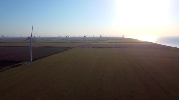 Wind Turbines Generate Alternative Energy Operating Field Sunrise Early Morning — Stock Video