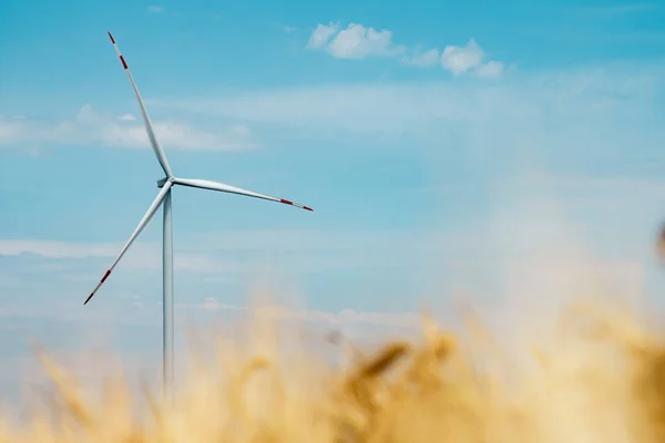 風力タービンは再生可能エネルギーを生産する 風車用プロペラは 小麦畑にクリーンで環境に優しいエネルギー源を生み出す作業を行っています — ストック写真