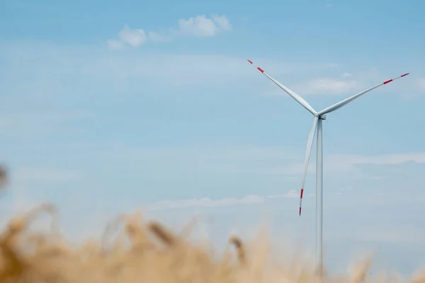 Windmill Generates Clean Energy Wind Turbine Produces Renewable Ecofriendly Energy — Stock Photo, Image