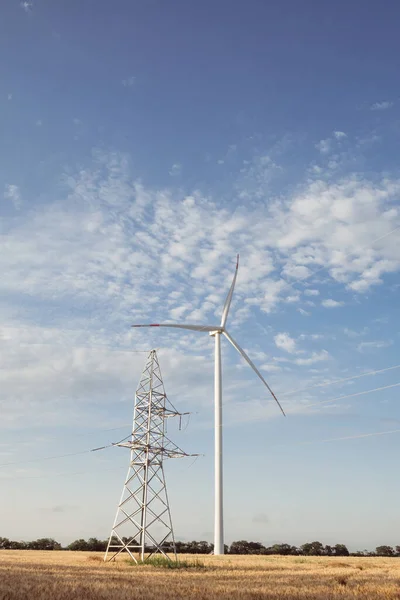 風車は送電線のエネルギーを生産する 送電線タワー機能やコムギ畑の電力で農業を支援 — ストック写真