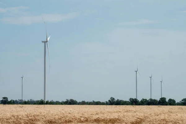 環境に優しい風車はエネルギーを生み出します 風力タービンは 農地支援のための再生可能エネルギーや農地間の配電変電所を生み出します — ストック写真