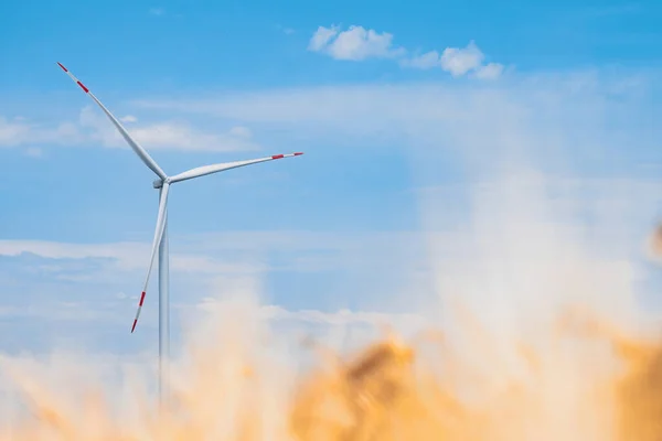 風車プロペラは再生可能エネルギーを生み出す 風力発電機プロペラは 青空の下で農場のニーズのために清潔で環境に優しいエネルギーを生成します — ストック写真