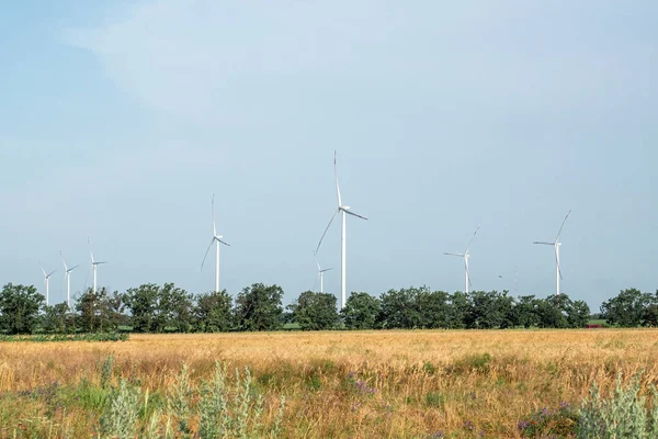Ekologiczne Wiatraki Produkują Energię Odnawialną Turbiny Wiatrowe Odtwarzają Czystą Energię — Zdjęcie stockowe