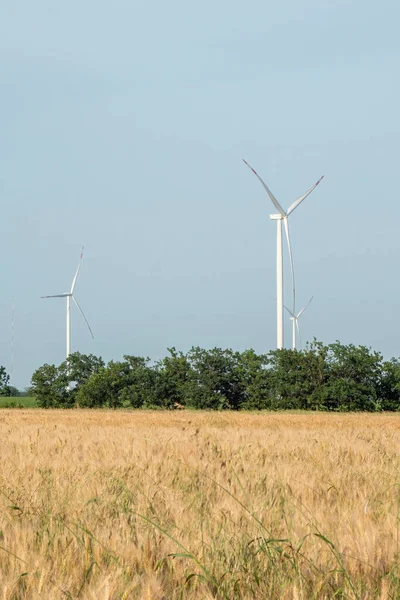 Ветряные Мельницы Производят Чистую Энергию Экологически Чистые Ветряные Турбины Генерируют Лицензионные Стоковые Изображения