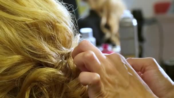 Peluquería Con Experiencia Hace Peinado Moderno Peinado Para Fiesta Salón — Vídeos de Stock