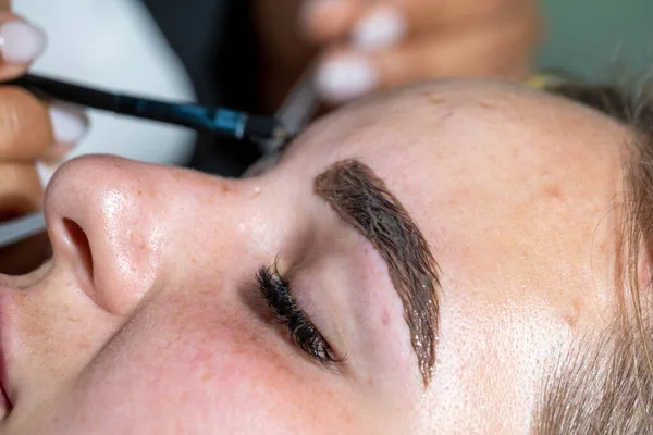 Hand of makeup artist tints eyebrows of young female client with little brush. Professional tinting of eyebrows in beauty salon closeup