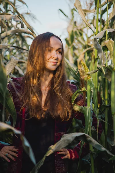 Woman enjoys exploring corn field and uniting with countryside nature. Brown-haired lady looks around and stands among corn stalks on field