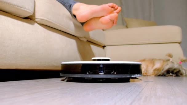 Moderní Robotický Vysavač Pracuje Snížení Prachu Laminátové Podlaze Obývacím Pokoji — Stock video