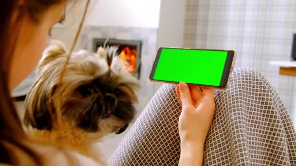 Vrouw Ontspant Bank Met Schattige Binnenlandse Hond Vriend Kijken Film — Stockvideo