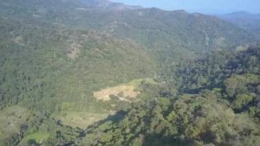 Ağaçlar ve çalılar, Ella 'daki mavi gökyüzüne karşı orman dağlarında yetişir. Tropikal ada Sri Lanka havacılık manzaralı güzel vahşi doğa