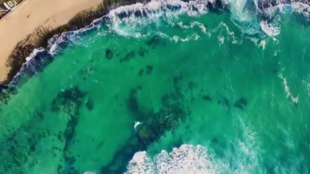 ヤシの木を育てたエキゾチックな熱帯リゾートの上部パノラマ ターコイズ水で海の波によって洗浄される砂浜の海岸 — ストック動画