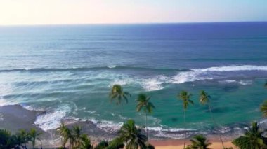 Turkuaz dalgalar kumlu sahilde palmiye ağaçlarıyla dalgalanır. Tropikal ada havası manzarasında egzotik tatil beldesindeki cennet kavramı 