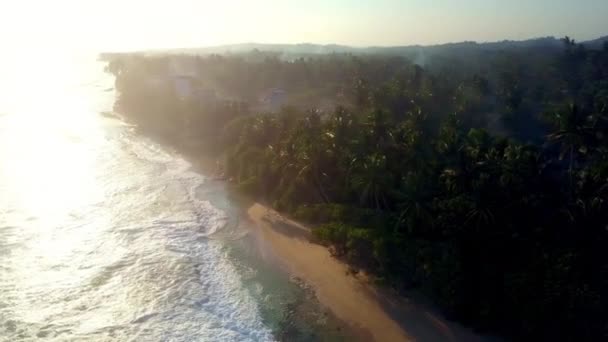 Ήλιος Λάμπει Έντονα Στο Τροπικό Δάσος Κοντά Στον Γαλάζιο Ωκεανό — Αρχείο Βίντεο