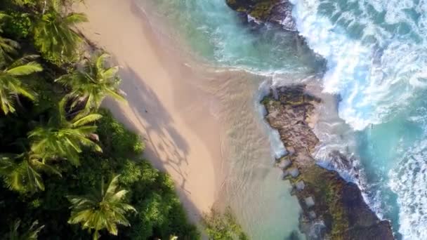 Las Olas Anchas Azules Cubren Playa Rocosa Con Palmeras Verdes — Vídeos de Stock