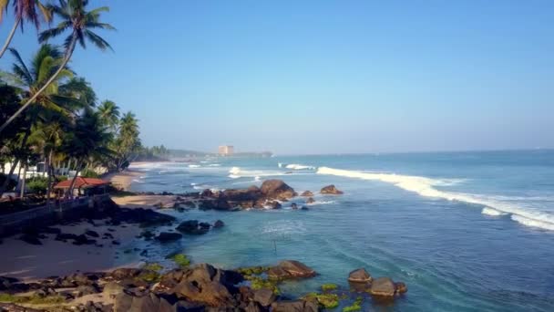 Espumosa Ola Océano Lava Playa Tropical Con Árboles Exóticos Concepto — Vídeos de Stock