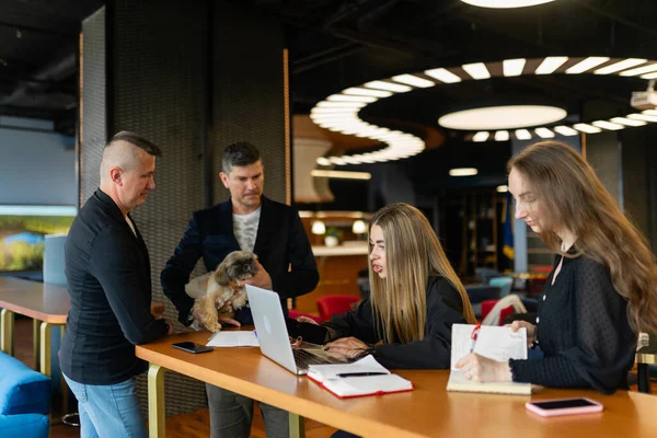 Businesswoman Shows Colleagues Project Details Laptop Shih Tzu Meeting Small — Stock Photo, Image