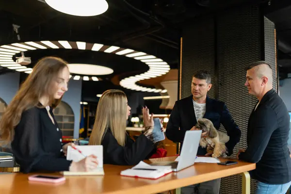 Young Businesswoman Vigorously Gestures Business Gathering Modern Boardroom Shih Tzu Stock Picture